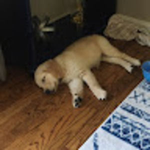 Meet your Posher, Jack